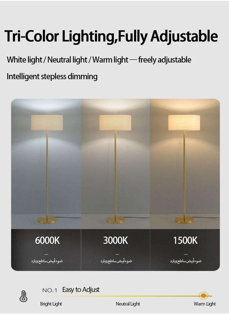 ضوء كامل مصباح أرضي ذهبي عصري بتحكم عن بعد، تعتيم تدريجي وضبط حرارة اللون، 12 واط LED، مقاس 160×38 سم، قاعدة ذهبية – لغرفة المعيشة، النوم، والمكتب  - Image 4