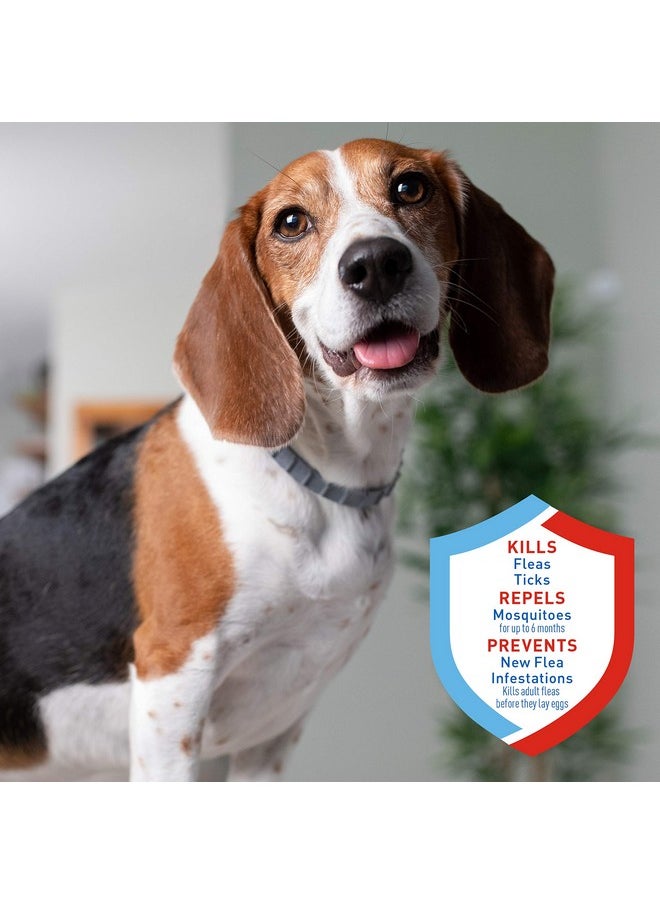ADAMS Adams Flea & Tick Collar Plus for Dogs & Puppies, 6-Month Protection, One Size Fits All Dogs & Puppies, Kills Fleas & Ticks, Repels Mosquitoes For Up To 6 Months (excluding California)  - Image 3