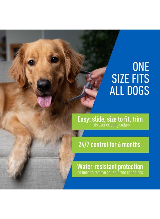 ADAMS Adams Flea & Tick Collar Plus for Dogs & Puppies, 6-Month Protection, One Size Fits All Dogs & Puppies, Kills Fleas & Ticks, Repels Mosquitoes For Up To 6 Months (excluding California)  - Image 4