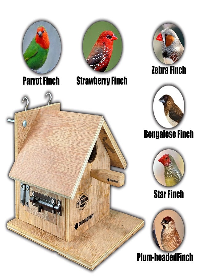 Crib factory Strong Breeding Box for All Finches | HIGH QULITY Plywood | for Star Finch, Zebra Finch, Bengalese Finches - Image 4