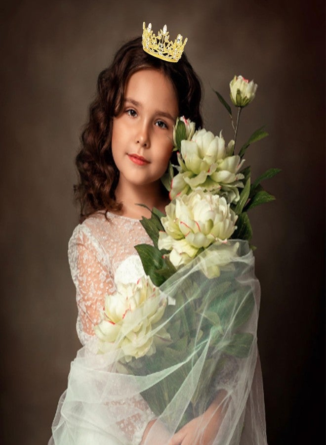 CAVETEE Mini Crown Cake Topper, Small Princess Tiara Crystal Crown Flower Bouquets Accessories for Cake Topper, Flower Arrangements and Decorations (gold) - Image 4