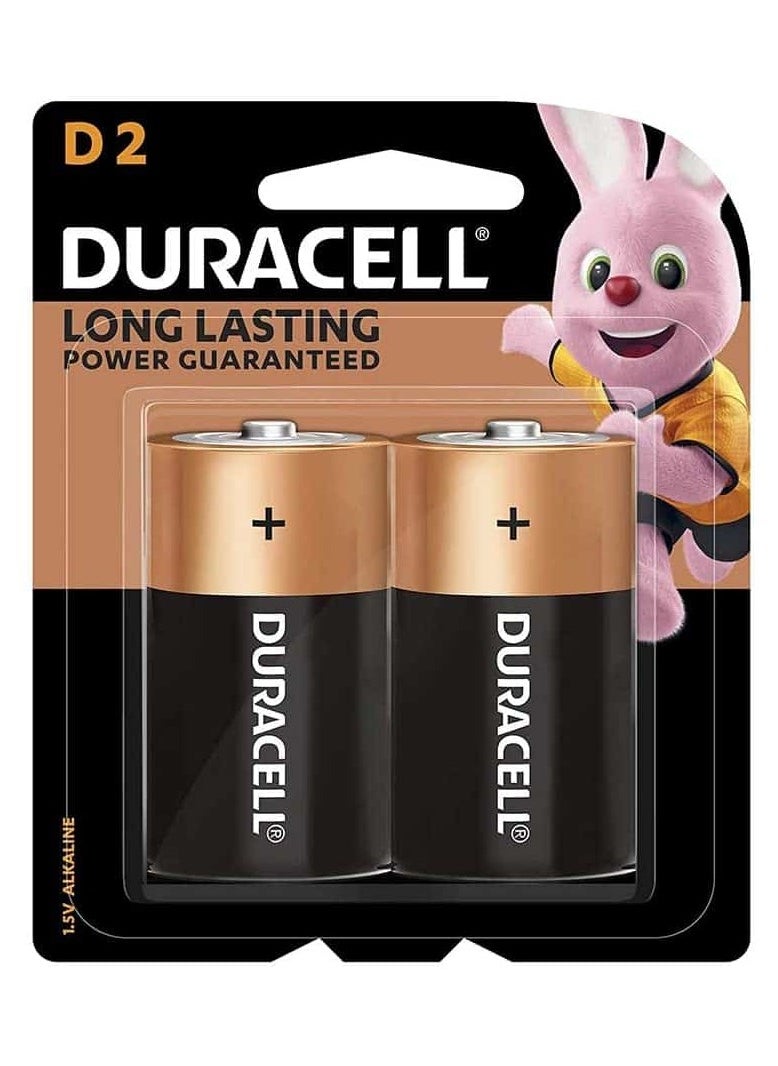 Duracell - Duracell D2 Long Lasting Power Guaranteed 1.5V Alkaline Batteries - Image 1