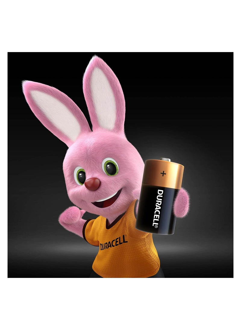 Duracell - Duracell D2 Long Lasting Power Guaranteed 1.5V Alkaline Batteries - Image 1
