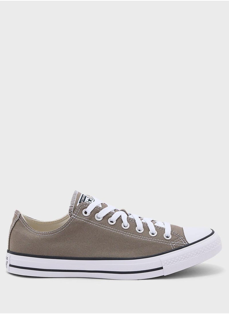 CONVERSE - Chuck Taylor All Star - Image 1