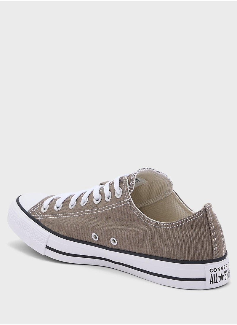 CONVERSE - Chuck Taylor All Star - Image 1