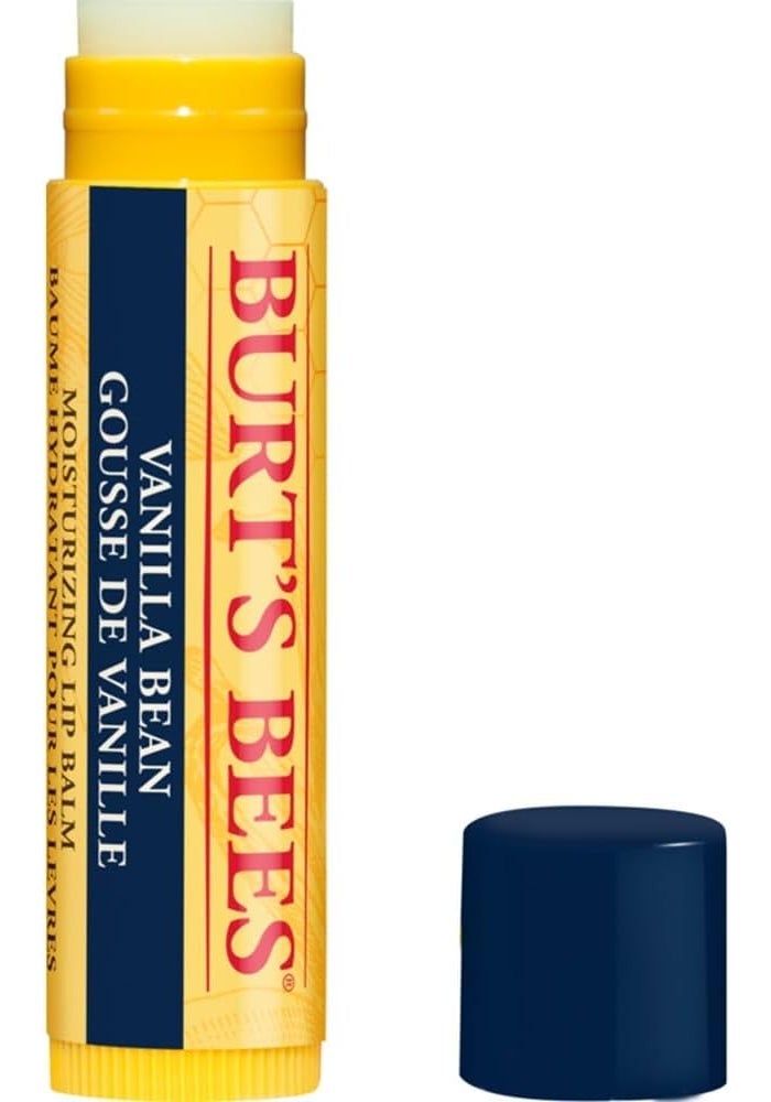 Burt's Bees Vanilla Bean Lip Balm - Image 1