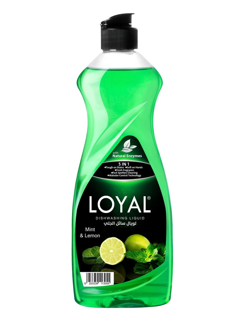 loyal 5 In 1 Dishwashing Liquid With Mint & Lemon Fragrance 700ml - Image 1