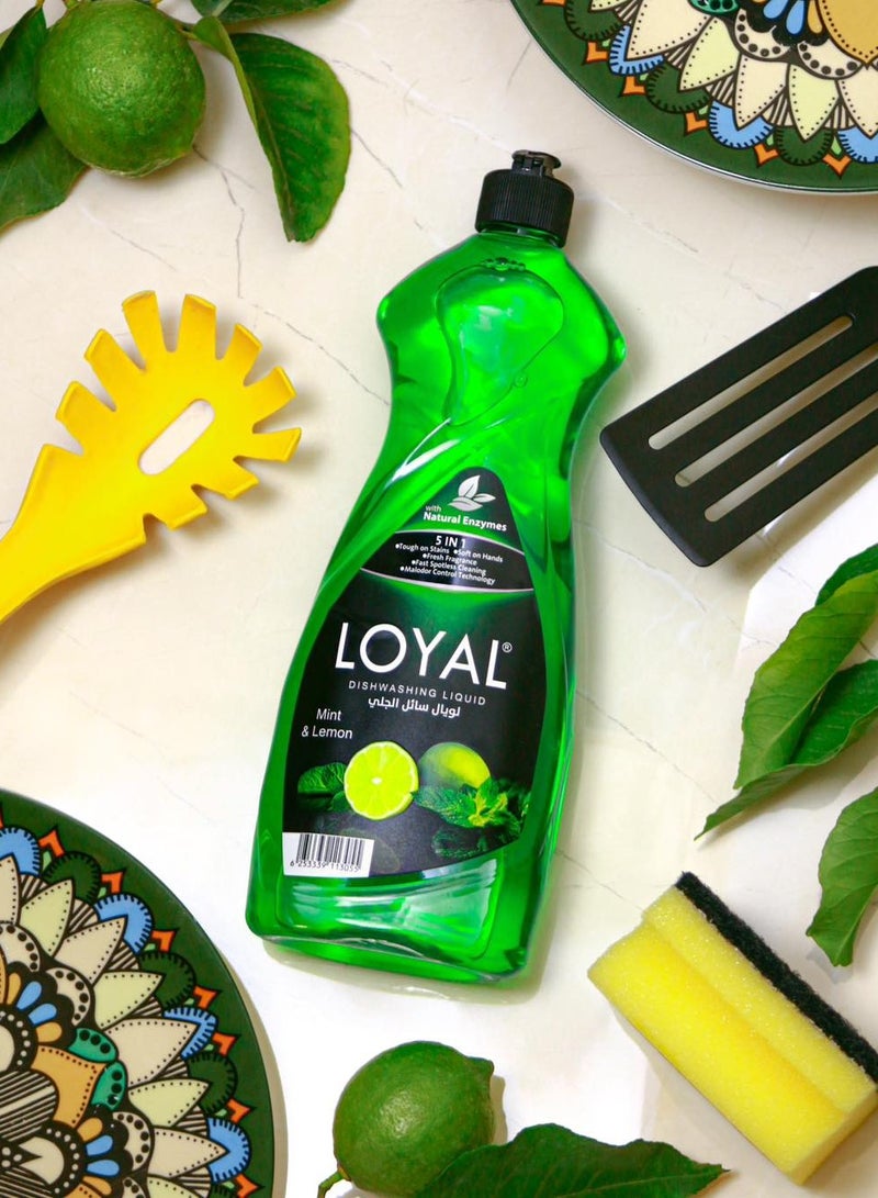 loyal 5 In 1 Dishwashing Liquid With Mint & Lemon Fragrance 700ml - Image 2