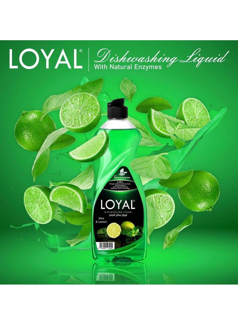 loyal 5 In 1 Dishwashing Liquid With Mint & Lemon Fragrance 700ml - Image 3