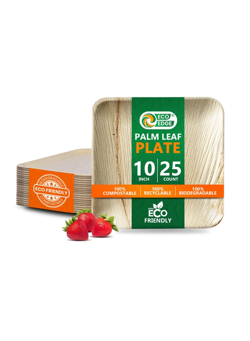 EcoEdge 10 Inch Square Areca Palm Leaf Disposable Plates (Pack of 25) | Compostable, Sustainable Organic, Biodegradable, Eco-Friendly | Sturdy Disposable Plates for On-the-go Meals | 100% Natural - Image 1