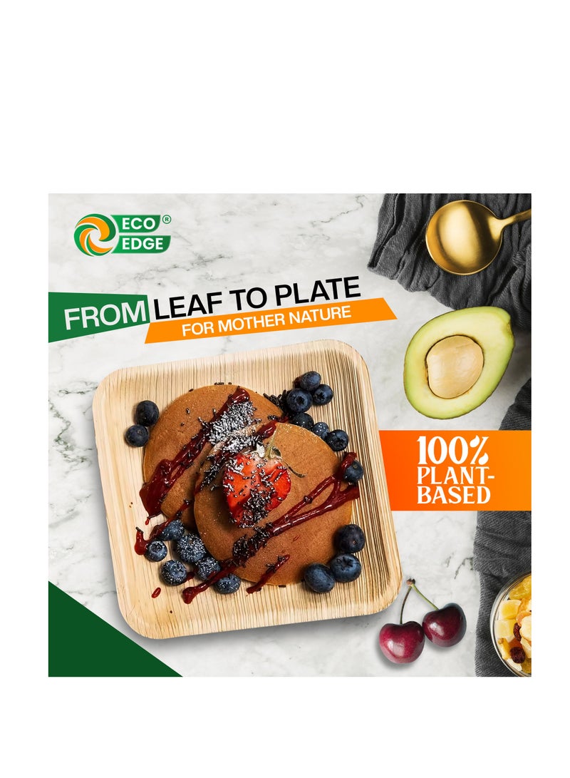 EcoEdge 10 Inch Square Areca Palm Leaf Disposable Plates (Pack of 25) | Compostable, Sustainable Organic, Biodegradable, Eco-Friendly | Sturdy Disposable Plates for On-the-go Meals | 100% Natural - Image 2