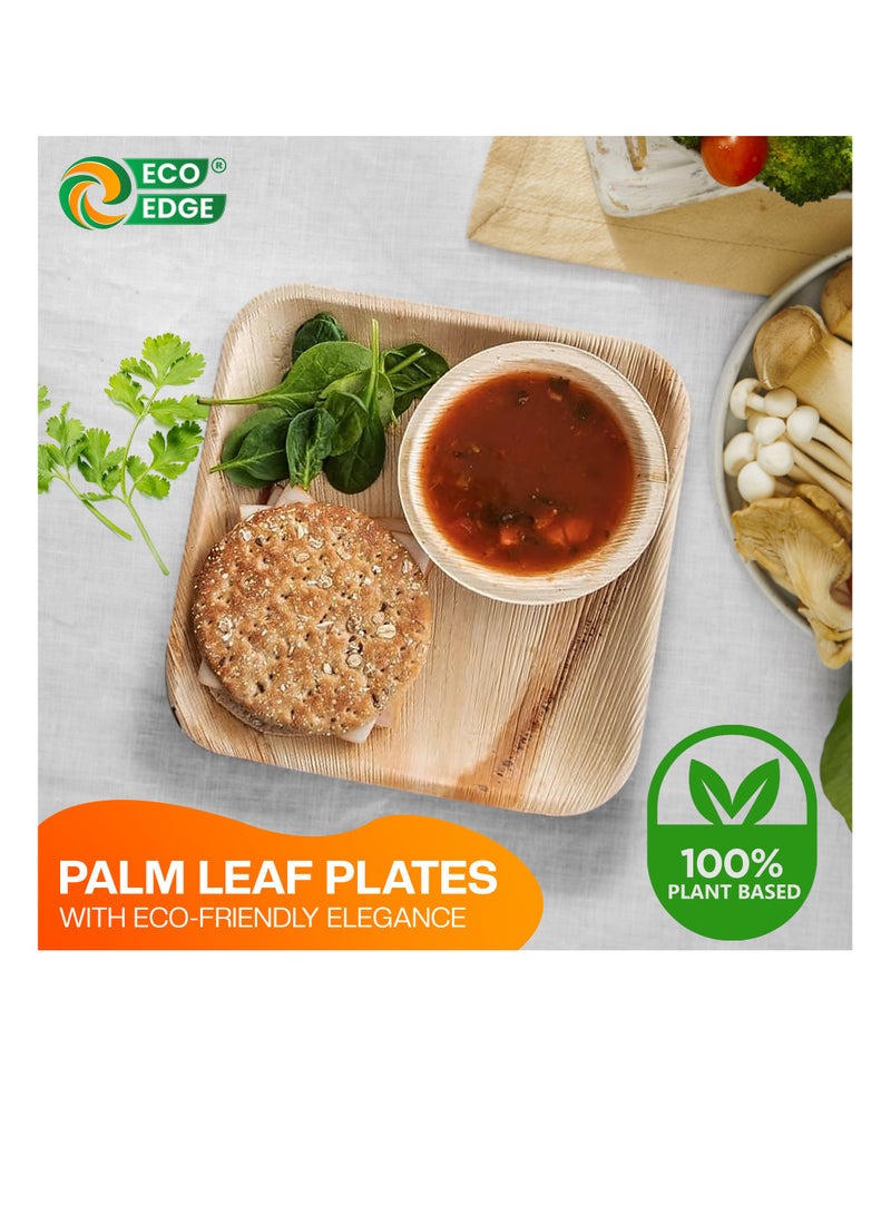 EcoEdge 10 Inch Square Areca Palm Leaf Disposable Plates (Pack of 25) | Compostable, Sustainable Organic, Biodegradable, Eco-Friendly | Sturdy Disposable Plates for On-the-go Meals | 100% Natural - Image 4