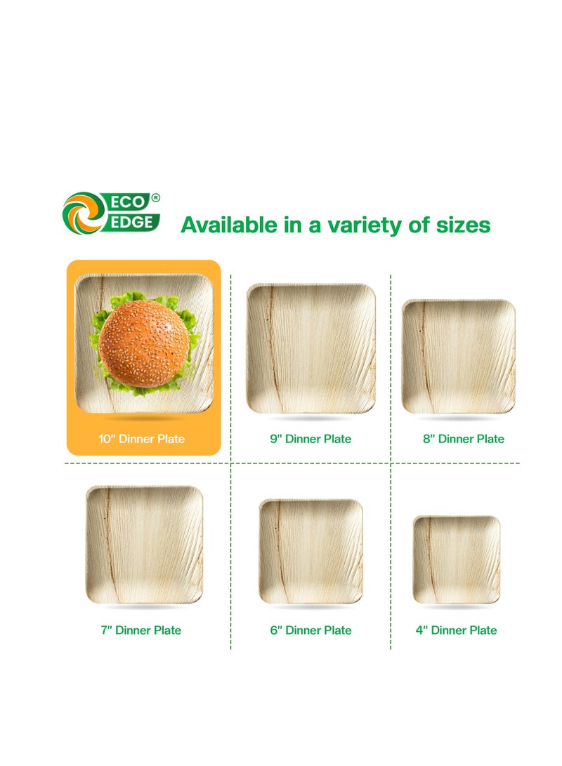 EcoEdge 10 Inch Square Areca Palm Leaf Disposable Plates (Pack of 25) | Compostable, Sustainable Organic, Biodegradable, Eco-Friendly | Sturdy Disposable Plates for On-the-go Meals | 100% Natural - Image 5