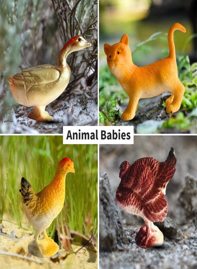 MALLEXO 12 PCS Realistic Domestic Farm Animals Toys for Kids 3+ | Cute Jungle Wild Animal Toy Action Figurines Playset for Boys and Girls Birthday Gifts for Children Best Educational & Decoration Item - Image 4