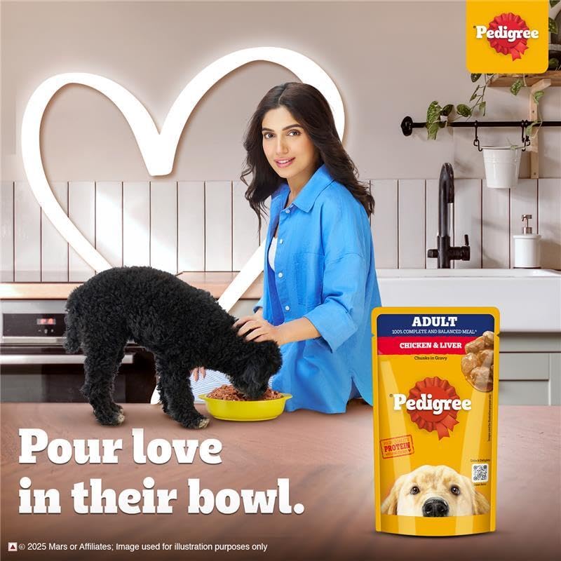 Pedigree طعام الكلاب البالغين الرطب من بيديجري، قطع دجاج وكبد في صلصة، 130 جرام (عبوة من 12) - Image 4