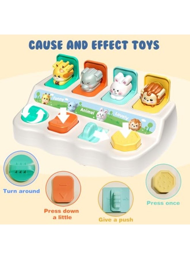 BOOM Interactive Pop up Toys,Educational Montessori Cause and Effect, Developmental Educational Toy Suitable forfor Toddlers 1 2 3,Interactive Sensory Toys for Babies Aged 18 Months and Above - Image 3