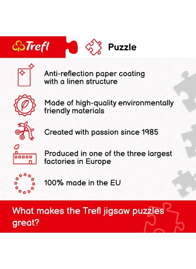 1000-208 cats  puzzle  - Image 4