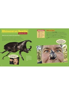 Coolest Creepy Crawlies: Delve Into the Fascination Micro World of Australia's Incredible Invertebrate Creatures  - Image 4