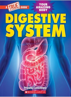 Digestive System 