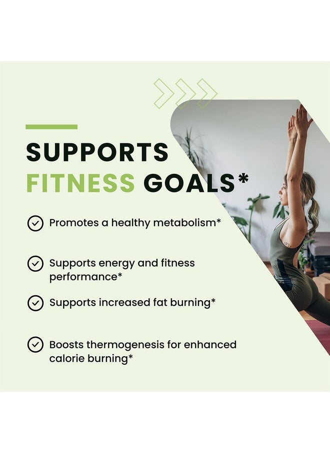 Nobi Nutrition - Green Tea Extract Weight Loss Pills To Reduce Belly Fat; Green Coffee Bean Extract Appetite Suppressant & Fat Burner For Women And Men; Vegan Glutenfree Fat Burner Supplement; 60 Capsules - Image 1