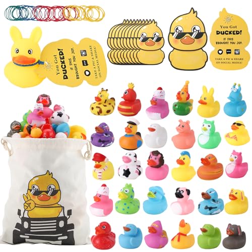 Prudiut 30Pcs Rubber Ducks for Ducking with 30 Duck Tags 40 Rubber Bands with Storage Bag Random Ducks for Jeeps Ducking Decor Baby Bath Pool Toys Party Favors - Image 1