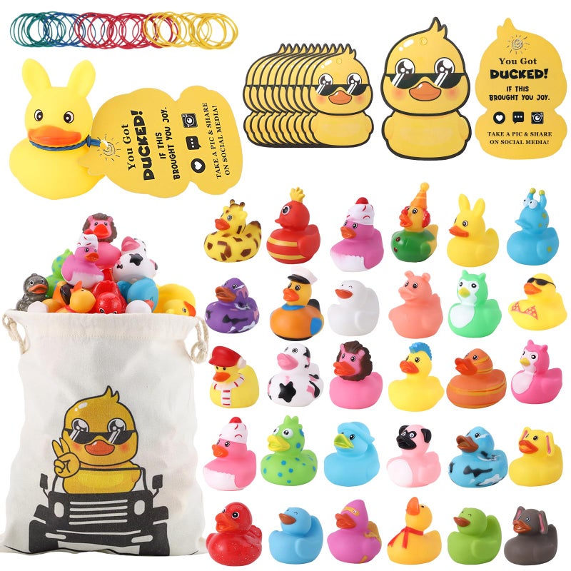 Prudiut 30Pcs Rubber Ducks for Ducking with 30 Duck Tags 40 Rubber Bands with Storage Bag Random Ducks for Jeeps Ducking Decor Baby Bath Pool Toys Party Favors - Image 2