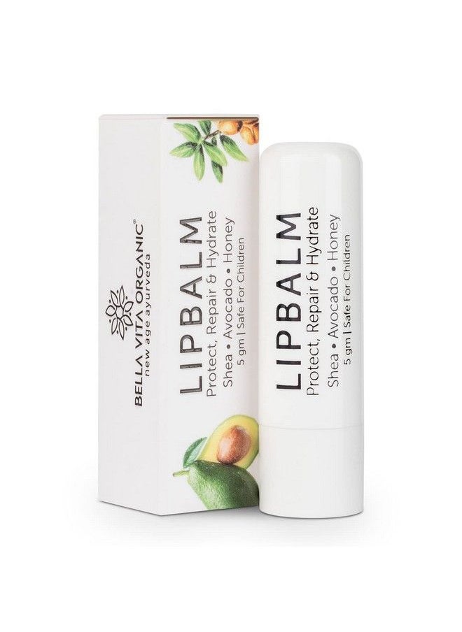 Bella Vita Organic Bella Vita Organic Natural LipBalm for Dry Damaged & Chapped Lips Enriched with Shea Butter, Avocado 4 gm  - Image 1