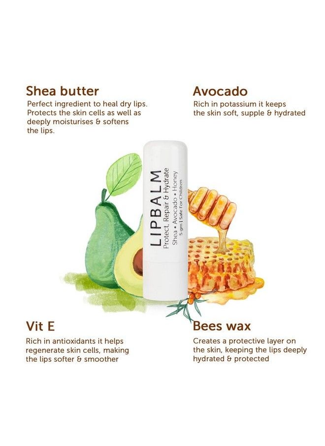Bella Vita Organic Bella Vita Organic Natural LipBalm for Dry Damaged & Chapped Lips Enriched with Shea Butter, Avocado 4 gm  - Image 3