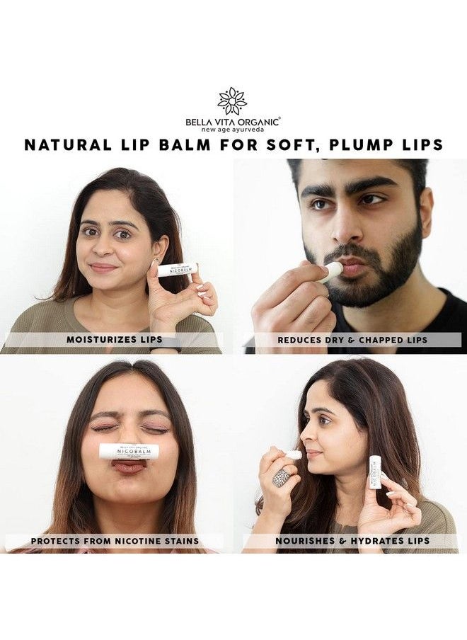 Bella Vita Organic Bella Vita Organic Natural LipBalm for Dry Damaged & Chapped Lips Enriched with Shea Butter, Avocado 4 gm  - Image 5