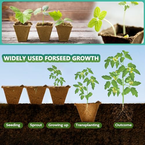 Doubleggs 240 Cells Seed Starter Tray, 20 Pack Biodegradable Peat Pots with 200 Labels, Plant Starter Kit for Seedlings - Image 3