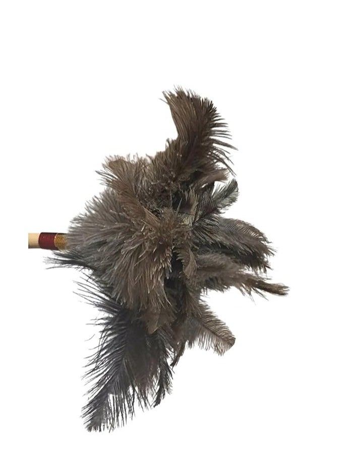 Generic - Allen Feather Duster Black Feathers * Less Dense Grey Feathers, 60cm - Image 1