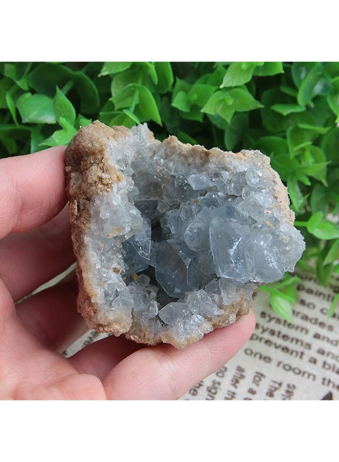 Acxico 1Pcs Celestite Cluster Large 2.5" - 3.5" Blue Celestite Gemstone Mineral Specimens - Image 3