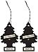 LITTLE TREES Car Air Freshener Hanging Paper Tree for Home or Car Black Ice 2 Pack - Image 2