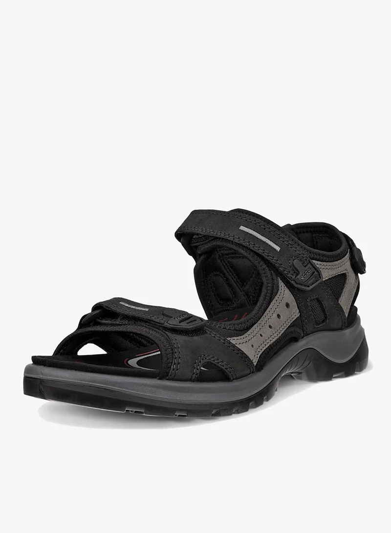 إيكو أوف رود أسودمولأسود أو.نوبأو.نوبتكس