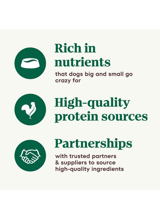 نوترو طعام كلاب ممتاز خالٍ من الحبوب الطبيعية للبالغين، وصفة الدجاج والبطاطس والجزر والبازلاء المطهوة ببطء، علب سعة 12.5 أونصة (عبوة من 12 قطعة) - Image 5