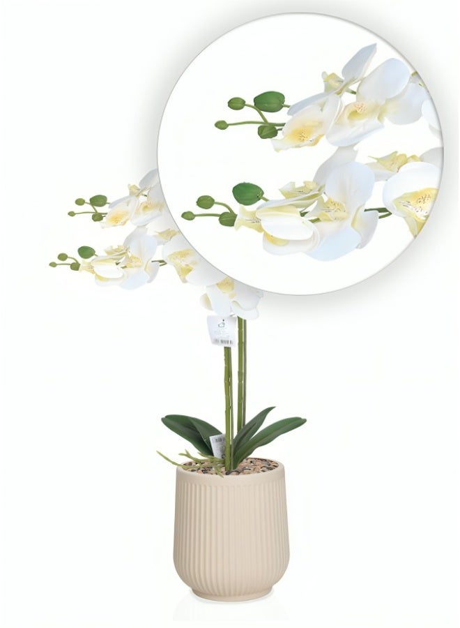Artificial Orchid Plant with Realistic Design – 70 cm Height – Comes with an Elegant Pot, Ideal for Home and Office Décor - Image 2