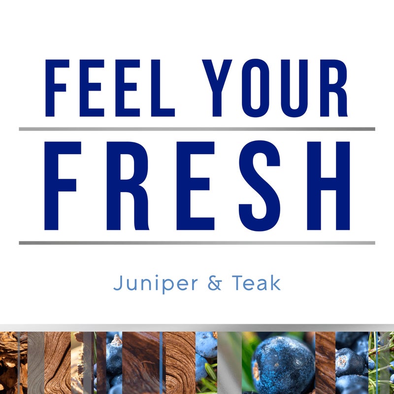 Glade PlugIns Refills Air Freshener, Scented and Essential Oils for Home and Bathroom, Juniper & Teak, Fresh Collection 3.35 Fl Oz, 5 Count - Image 2