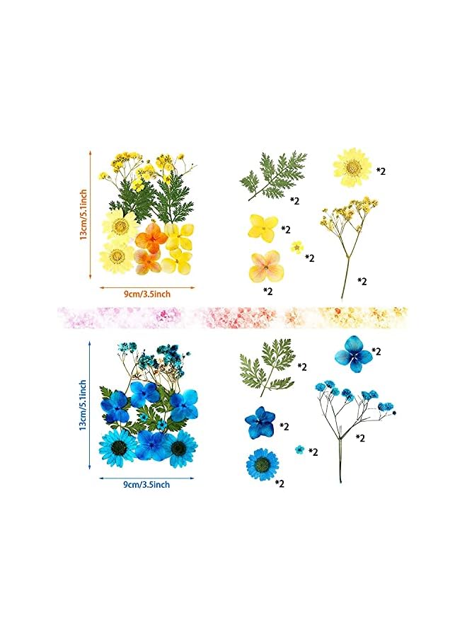 The Bros Pressed Flowers Resin Flowers for Resin Mold, Real Daisy Dried Flower Leaves Natural with Tweezers for Scrapbooking DIY Candle Accessories Jewelry Crafts Making (Colorful Style) - Image 4