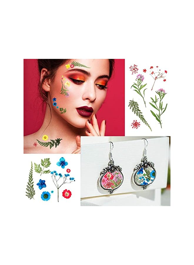 The Bros Pressed Flowers Resin Flowers for Resin Mold, Real Daisy Dried Flower Leaves Natural with Tweezers for Scrapbooking DIY Candle Accessories Jewelry Crafts Making (Colorful Style) - Image 5