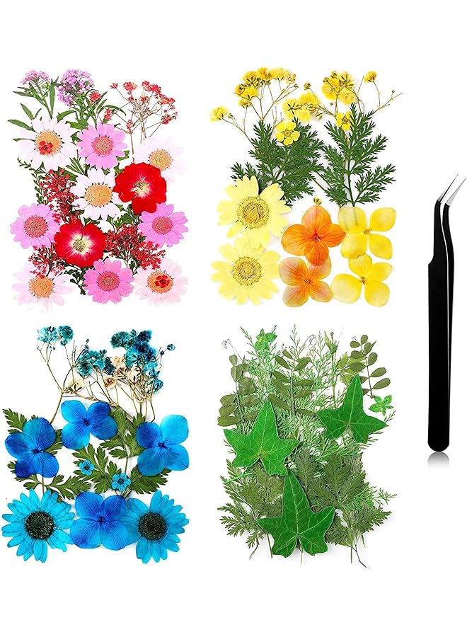 The Bros Pressed Flowers Resin Flowers for Resin Mold, Real Daisy Dried Flower Leaves Natural with Tweezers for Scrapbooking DIY Candle Accessories Jewelry Crafts Making (Colorful Style) - Image 1