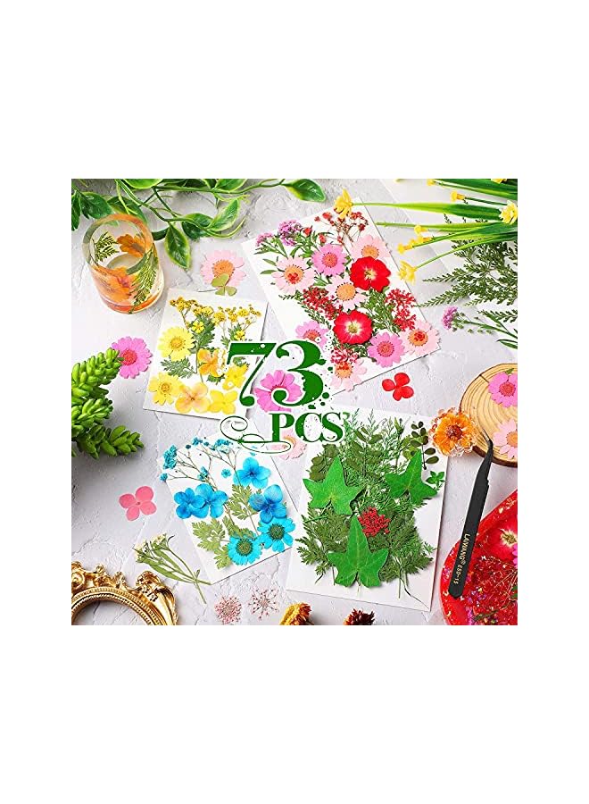 The Bros Pressed Flowers Resin Flowers for Resin Mold, Real Daisy Dried Flower Leaves Natural with Tweezers for Scrapbooking DIY Candle Accessories Jewelry Crafts Making (Colorful Style) - Image 2
