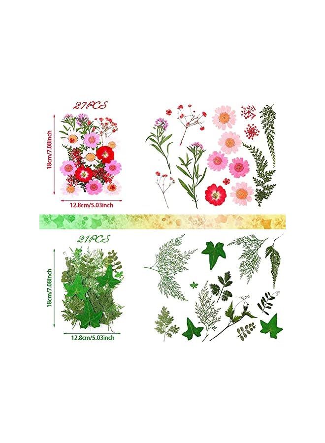 The Bros Pressed Flowers Resin Flowers for Resin Mold, Real Daisy Dried Flower Leaves Natural with Tweezers for Scrapbooking DIY Candle Accessories Jewelry Crafts Making (Colorful Style) - Image 3