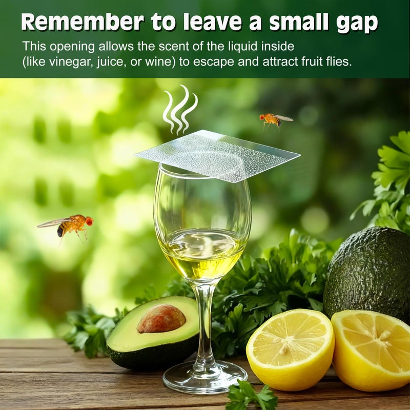 LFSYS Double-Sided Sticky Trap Covers for Fruit Fly Traps â€“ 25 Pack Adhesive Cards for Fruit Fly â€“ Clear, Mess-Free, Indoor Use - Image 2
