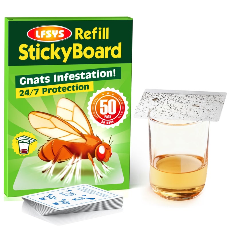 LFSYS Double-Sided Sticky Trap Covers for Fruit Fly Traps â€“ 25 Pack Adhesive Cards for Fruit Fly â€“ Clear, Mess-Free, Indoor Use - Image 1