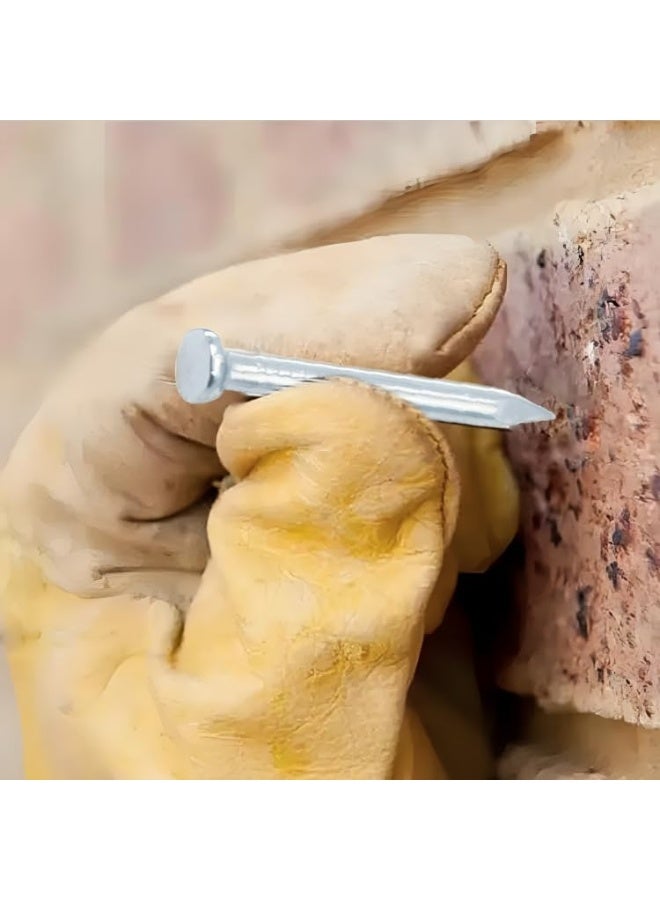 Royal Apex 50Pcs Multi-Purpose Iron Nails Set Flat Head Nails For Wood, Diy And Crafts, (1 Inch) - Image 5