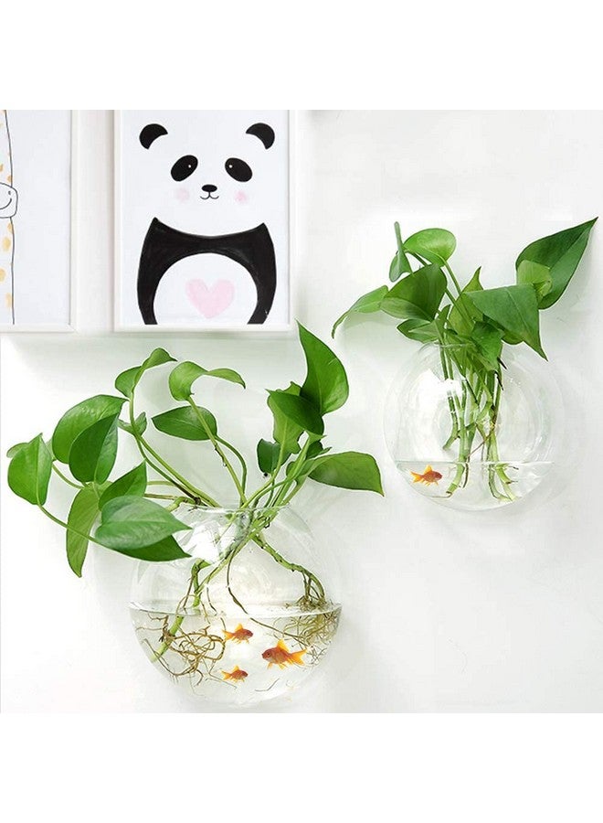 وعاء حائط أبيض من الأكريليك مقاس 15 بوصة من VAYINATO® (مع أحجار مجانية) لتزيين الحائط للأسماك والنباتات المائية الداخلية (15 بوصة) من Petzlifeworld - Image 4