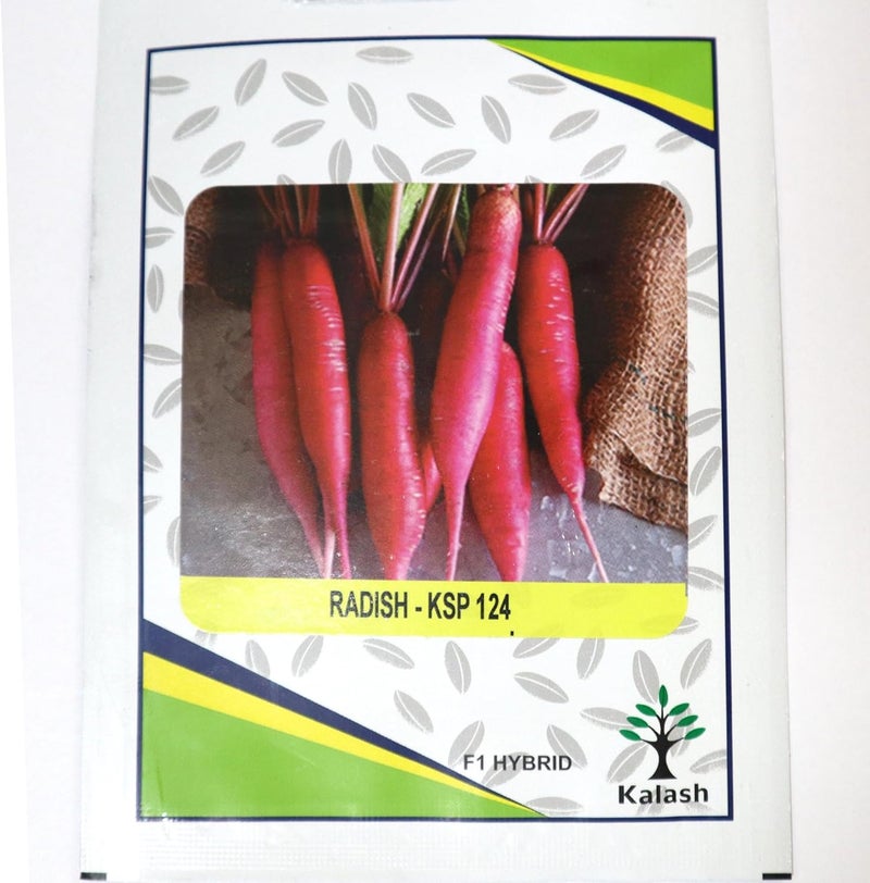 Kalash Radish KSP 124 F1 Hybrid Premium Quality Seeds - 50 Seeds