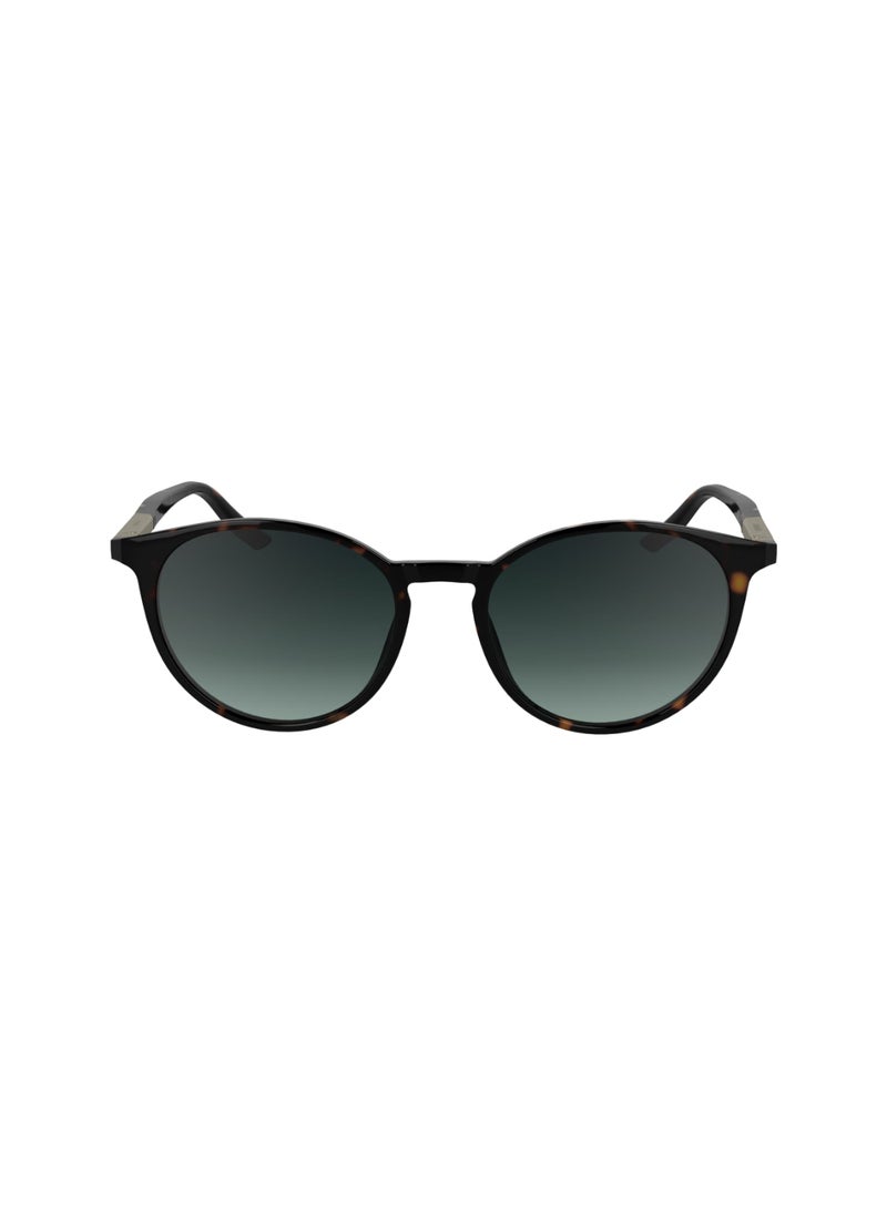 CALVIN KLEIN FULL RIM METAL INJECTED CALVIN KLEIN SUN CK24539S 5318 (235) DARK HAVANA  - Image 2