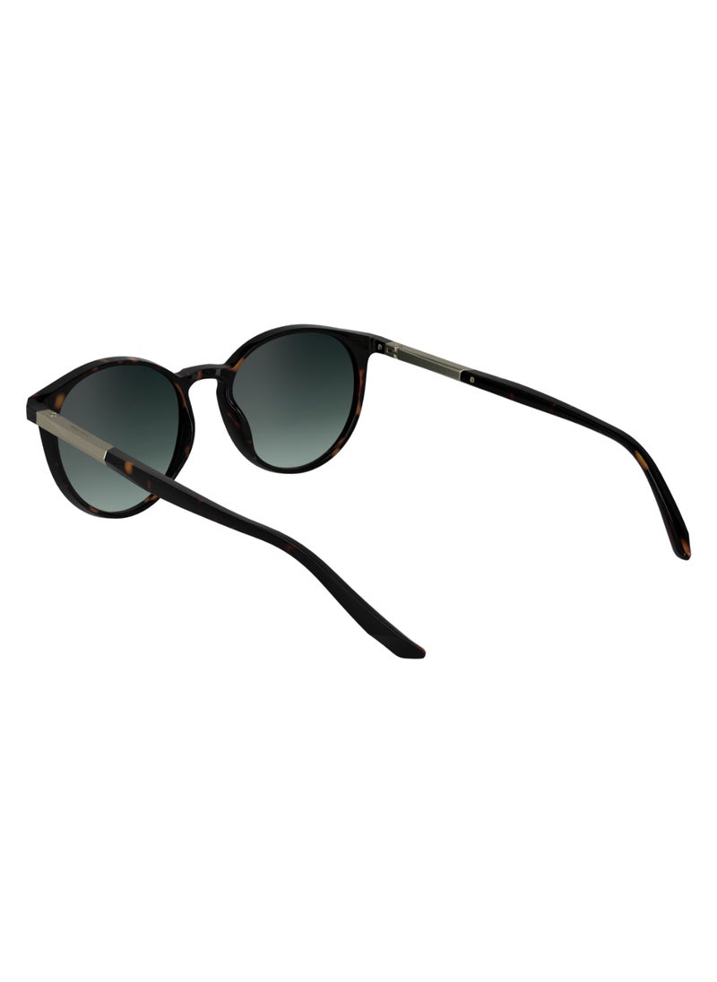 CALVIN KLEIN FULL RIM METAL INJECTED CALVIN KLEIN SUN CK24539S 5318 (235) DARK HAVANA  - Image 5
