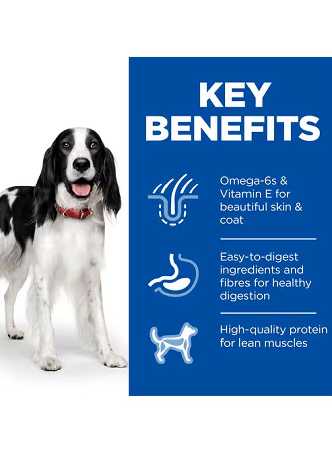 هيلز طعام الكلاب البالغة بنكهة الدجاج من ساينس بلان - ٣٧٠ غرام (عبوة من ١٢ قطعة) - Image 3